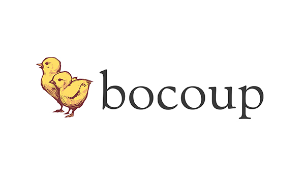 Bocoup Education